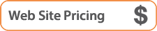 Business Web Site Pricing